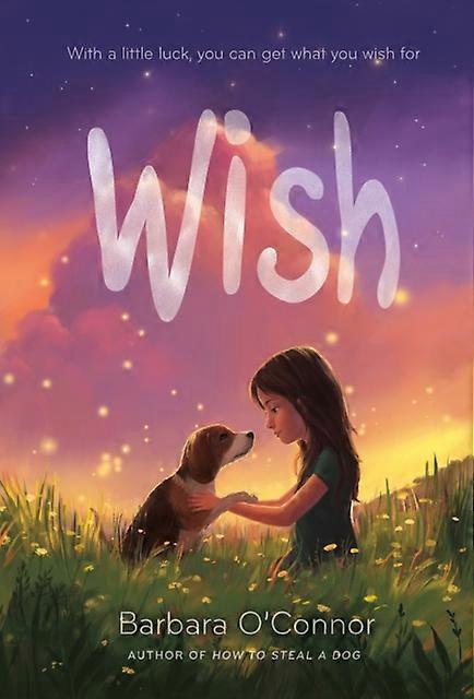 Wish by Barbara OConnor Paperback Book
