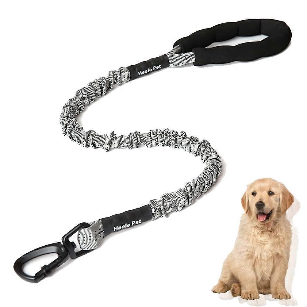 Dog Training Lead with Elastic Bungee, Durable Nylon Leash for Large and Small Dogs, Padded Handle & Carabiner