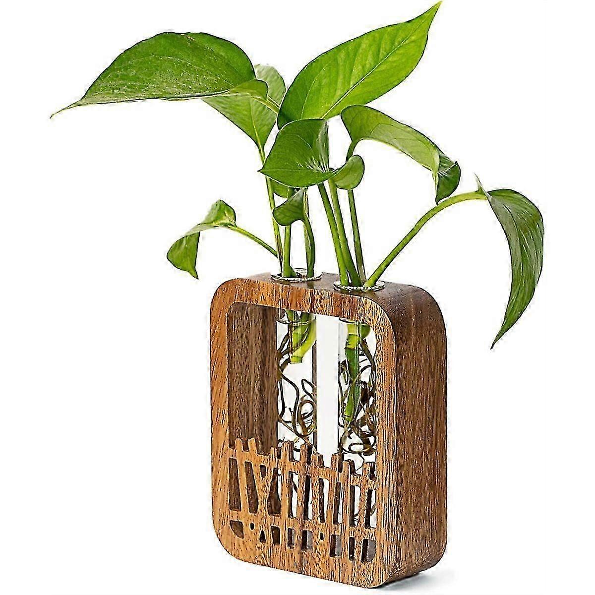 Walnut Wood Terrarium Planter