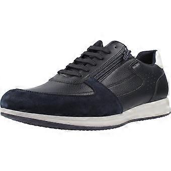 Sneakers Geox Sport / U Avery
