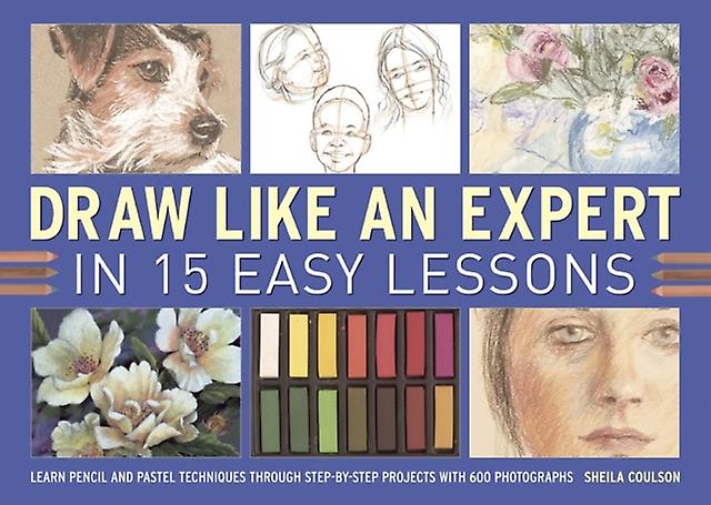 Draw Like An Expert In 15 Easy Lessons by Sheila Coulson Spiral bound Book