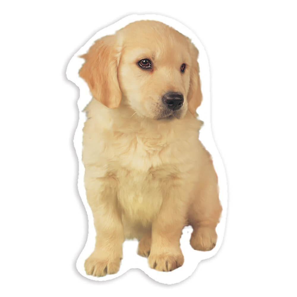 ギフトステッカー:ゴールデンレトリバーの足の犬