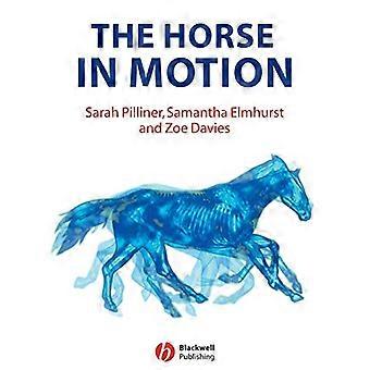 The Horse in Motion The Anatomy and Physiology of Equine Locomotion