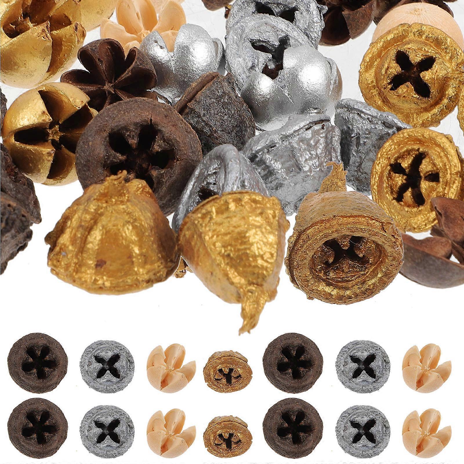 35pcs Dried Eucalyptus Fruits Crafts for Home Decoration Reusable Synthesis Material Assorted Color