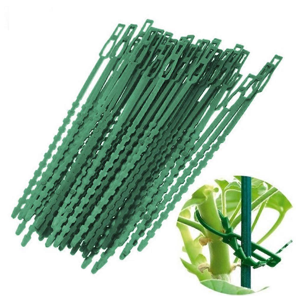 150pcs Plastic Binding Belt MultiPurpose Fish Bone Spur Green Garden Binding Belt (Long Size 17cm )