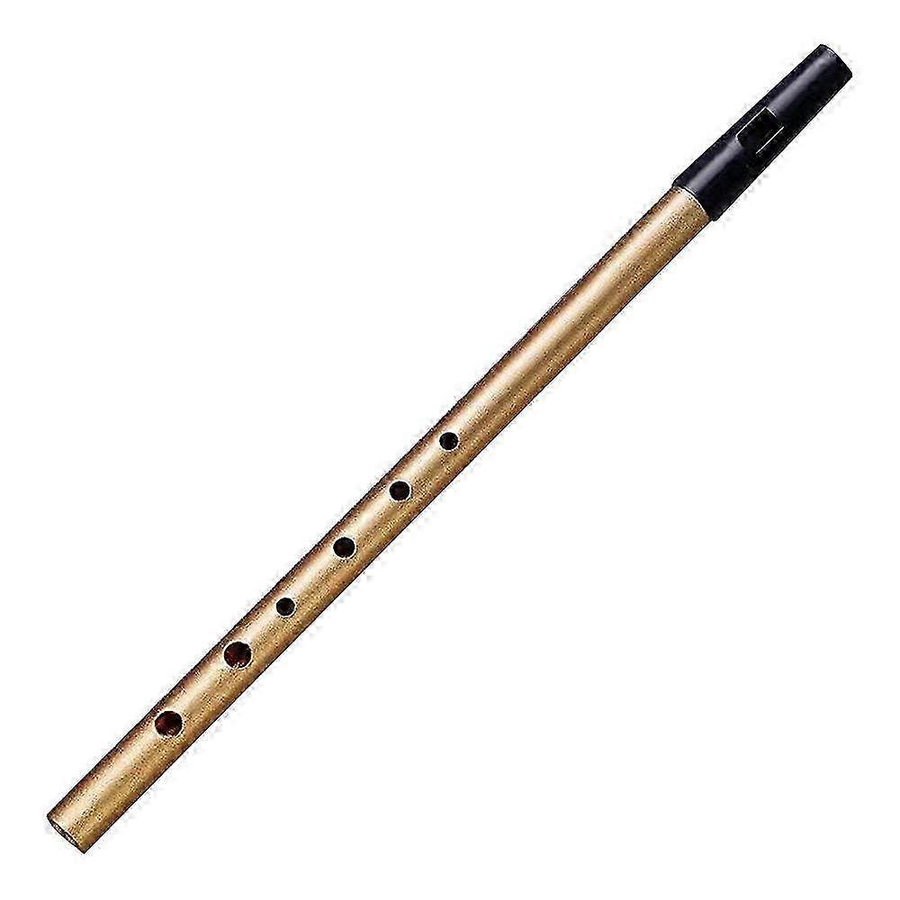 Beginner's Celtic Tin Whistle & Brass Flute in Key of C/D - Includes Starter Instruction Booklet for Easy Learning