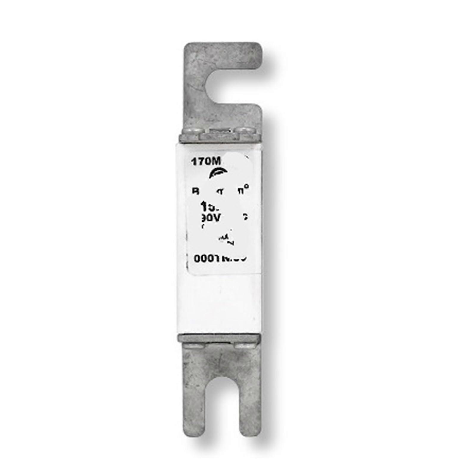 Safeguard/Safeguard 170M4311 0M61 0M12 0M62 (170M4311)