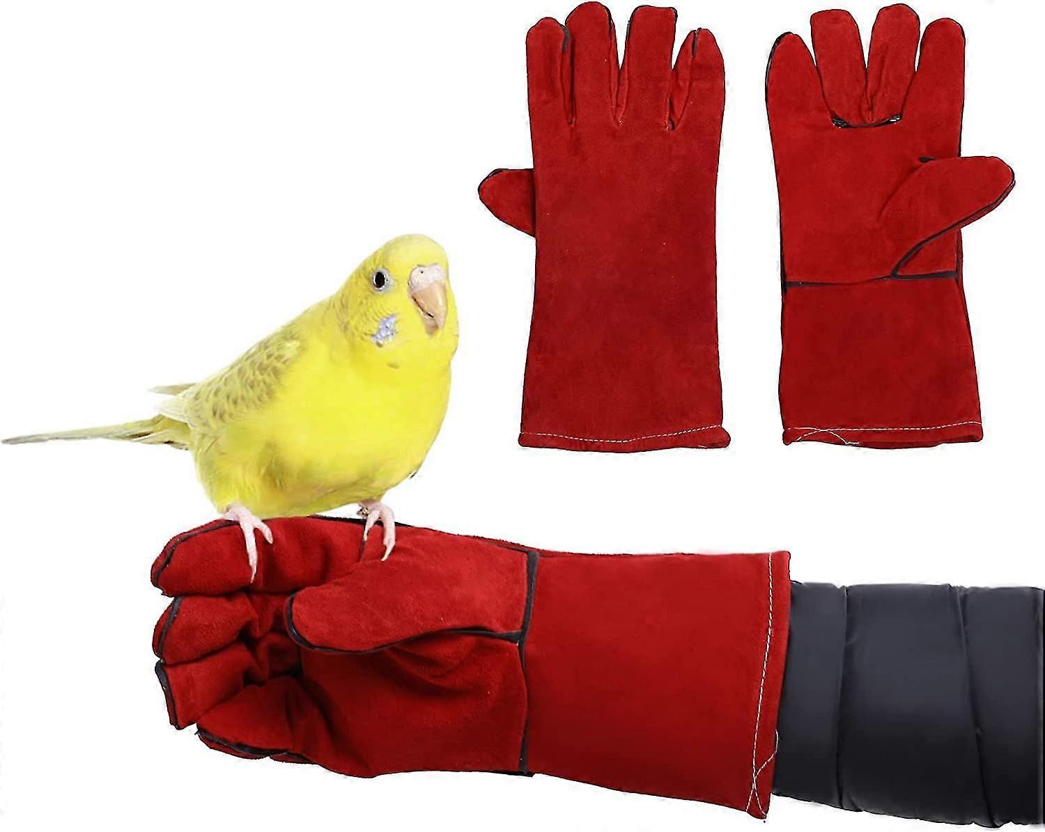 Bird Training Anti-Scratch/Bite Gloves for Parakeets Cockatiels Conures Lovebirds Parrotlets Finch Macaw African Budgies Parakeet Lizard