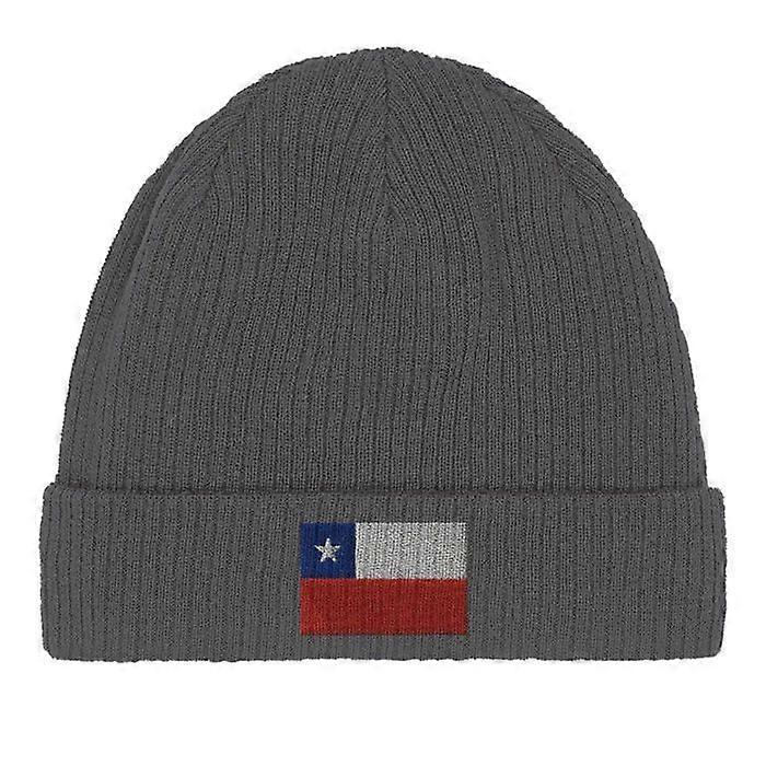 Chilean Flag Beanie in Gray