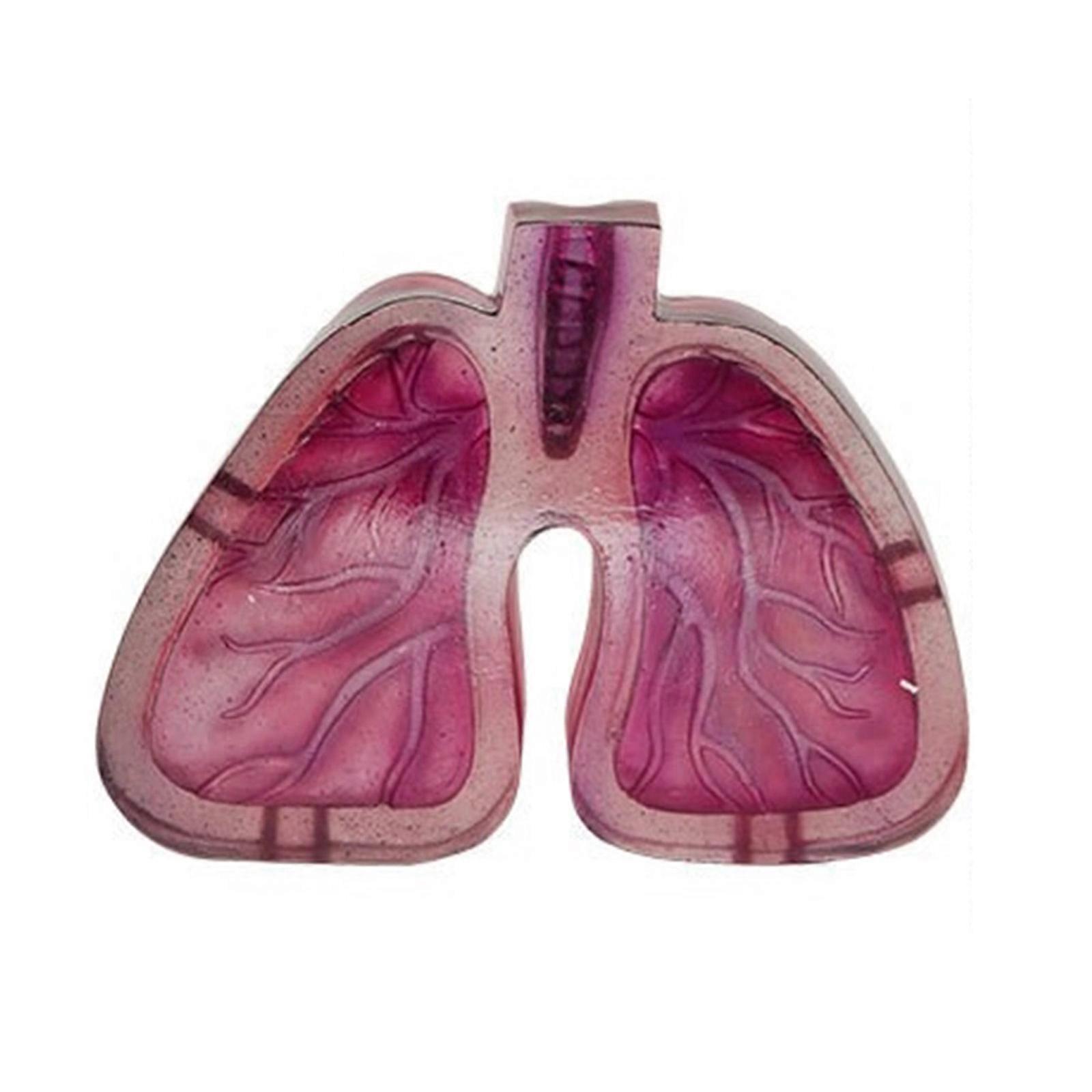 Artistic Ashtray for Various Settings Unique Resin Provides Smooth Surface Suitable for Personal Use or Thoughtful Gift Multicolor