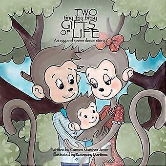 Two Tiny Itsy Bitsy Gifts of Life, l’histoire d’un donneur d’ovules et de sperme