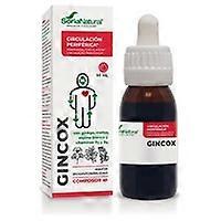 Gincox composor 41 50 ml