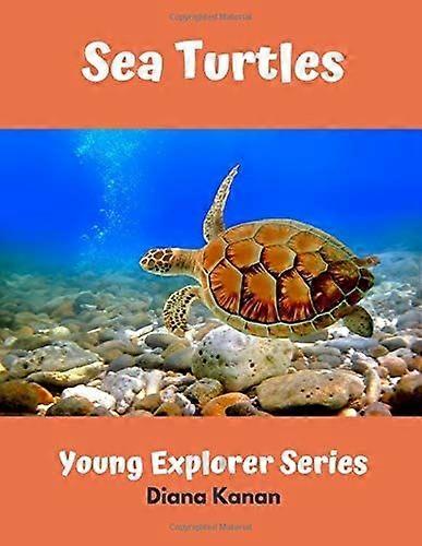 Sea turtles