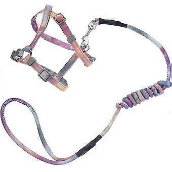 Adjustable Outdoor Cat Harness and Leash with Gradient Color