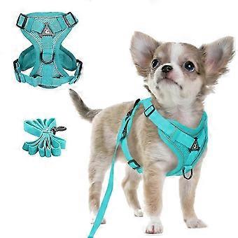 Small dog harness - Reflective and breathable - Mesh harness with D-ring and adjustable soft leash (S, light blue)WHBYV