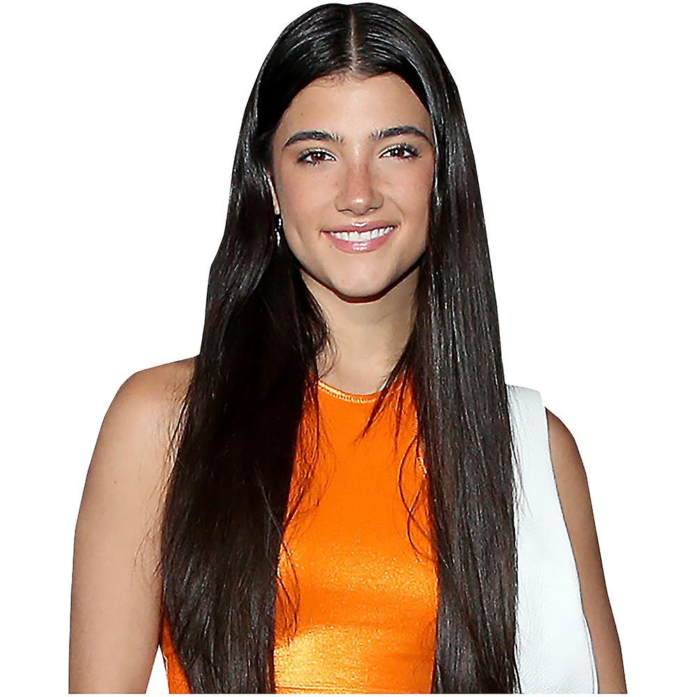 Charli D'amelio (Orange) Half Body Buddy Cutout