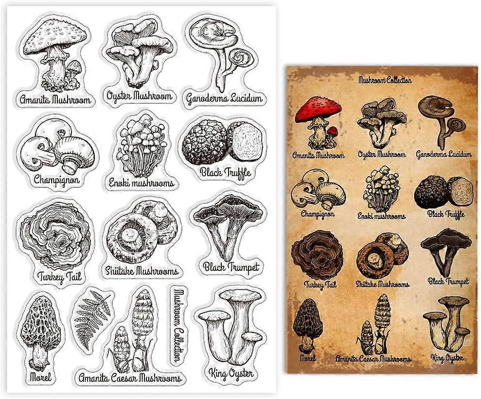 Mushroom Series Clear Stamp for Card Making Amanita Mushrooms Clear Silicone Stamp Shiitake Mushrooms Silicone Clear Stamp Seal for DIY Scrapbooking J