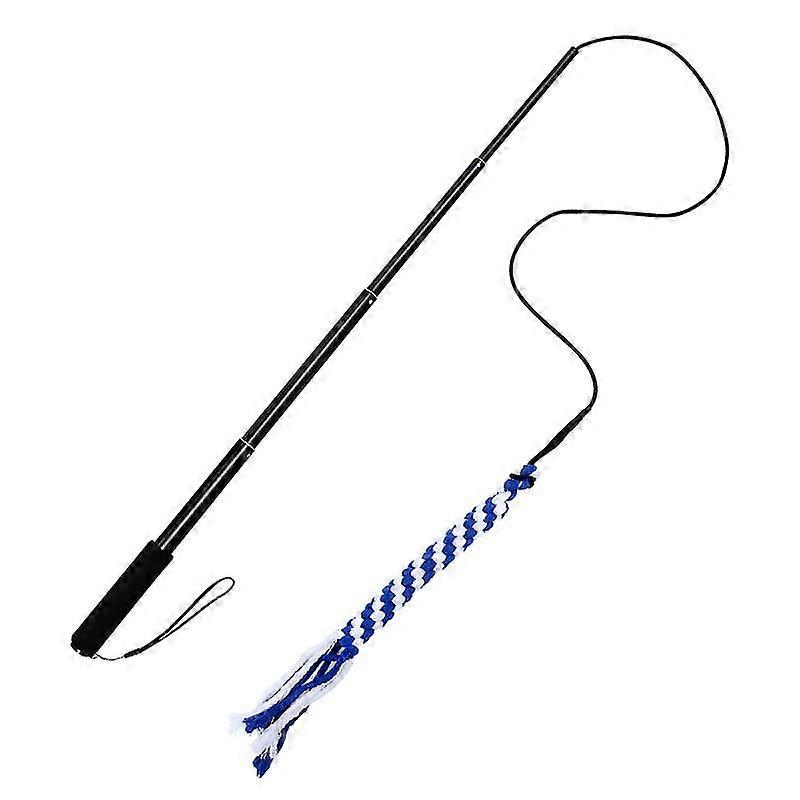 Ueetek Retractable Dog Interactive Stick Extendable Flirt Pole Funny Chasing Tail Teaser And Exerciser For Pets (Black, Size L)