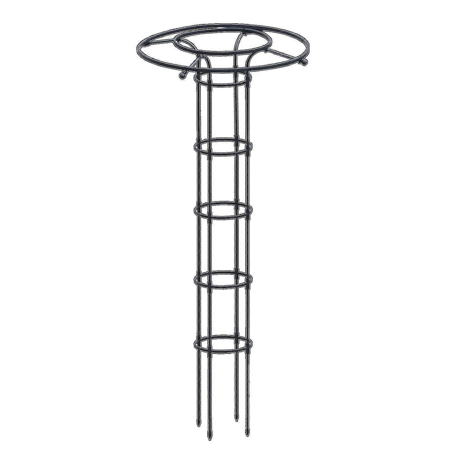 גן Trellis לטיפוס צמחים ופרחים, צמח מתכת Trellis עבור בחוץ