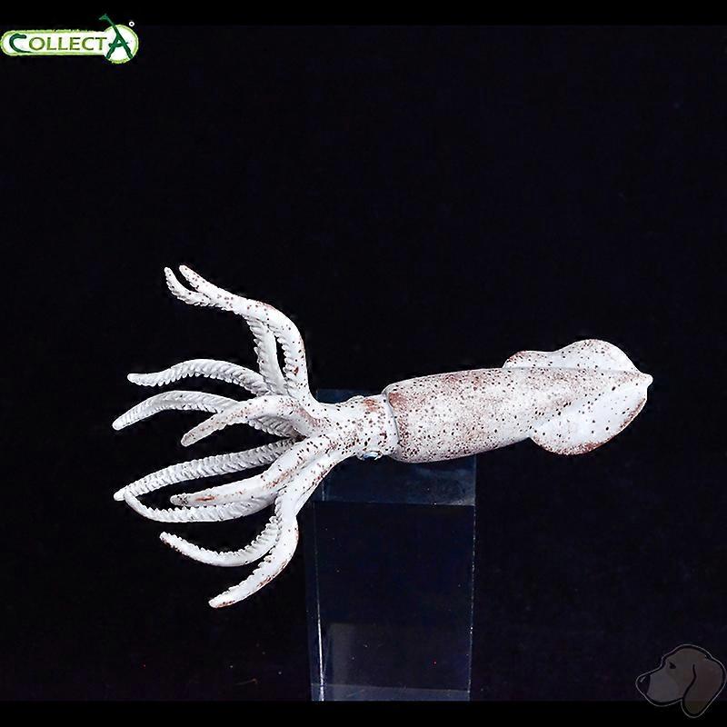 CollectA  Belemnite  88904