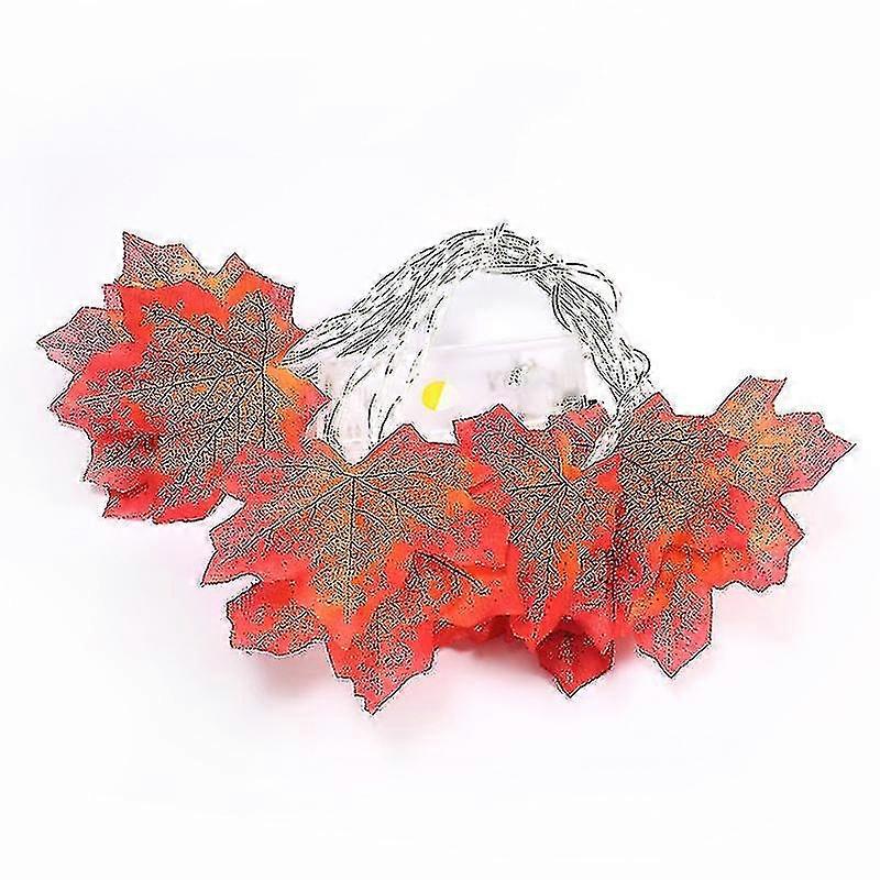 Rats Leaf En S Leaves Rat