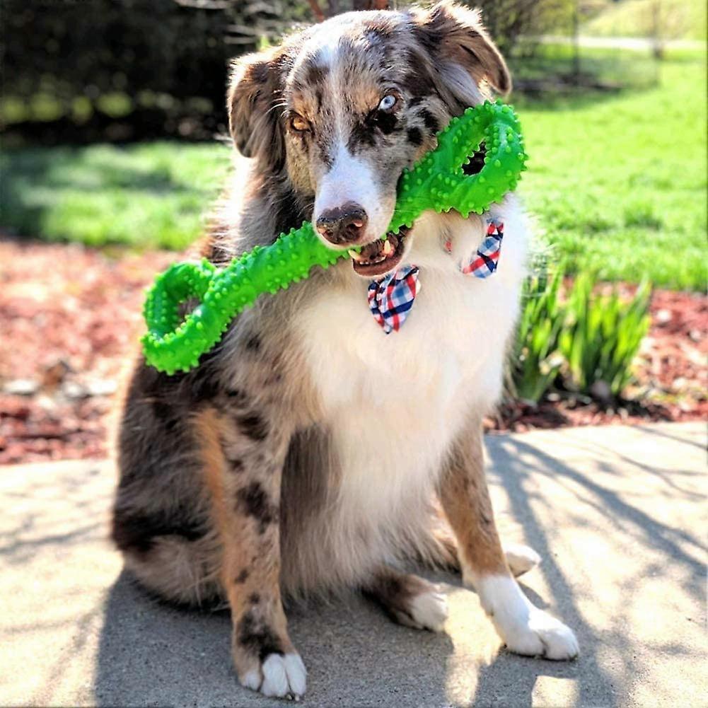 Dog Chew Toys Resistant Rubber 13 Inch Bone Dog Shaped Puppies Toy with Convex Design Solid Interactive Dog Toy for Aggressive Chewers Small and Large