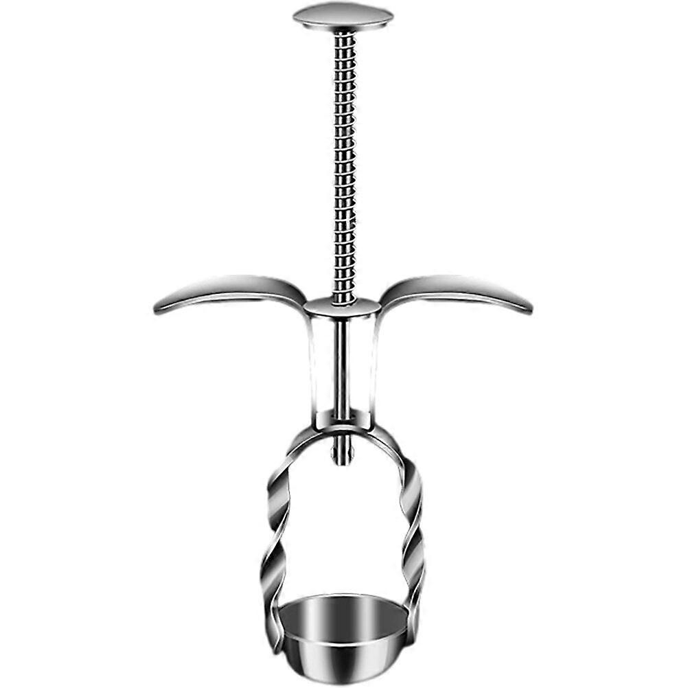 Jujube Pitter Cherry Pitter Tool Cherry Pit Remover Tool Kitchen Tool for Home