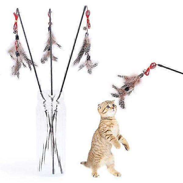 Pärlfjäder katt teaser