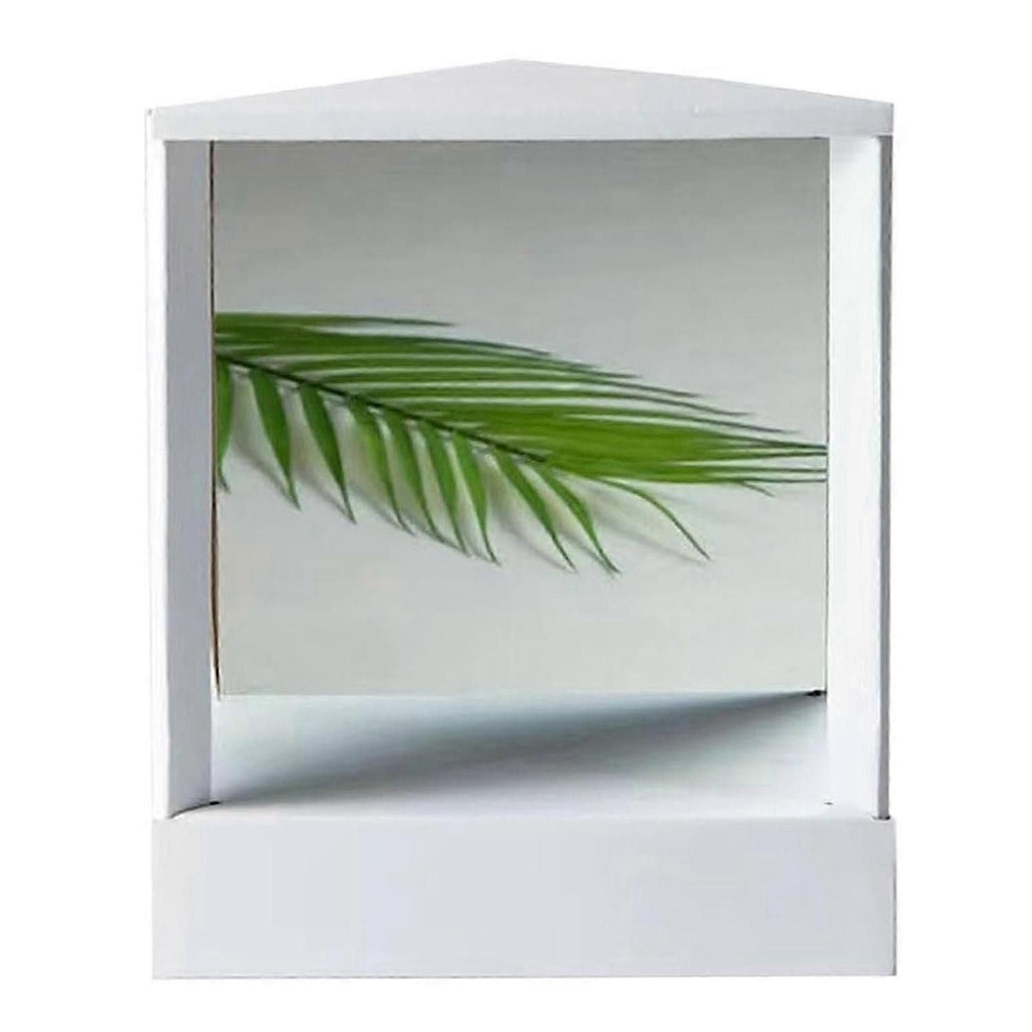 Women True Mirror Non Reversing, Triangular Fixed Non-reversing Mirror, Inverted Mirror,Non Reversin