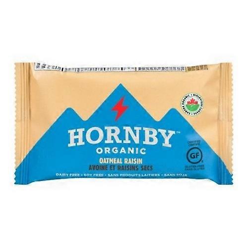 Hornby 有机有机能量棒燕麦葡萄干，80 克（12 件装）