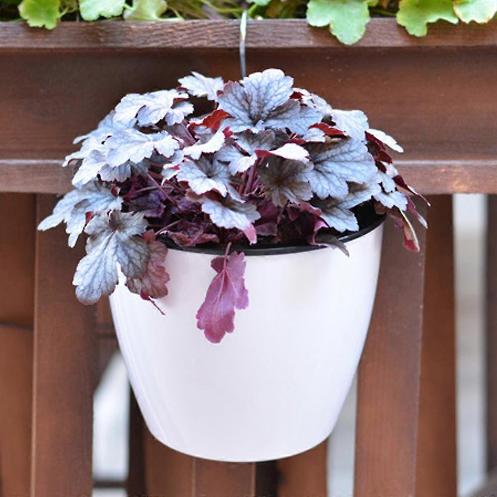 Adorn Your Walls With Our Wall Mounted Plants Holder, A Masterpiece Of Design And Functionality, Equipped For Long Time Water Storage And Showcasing