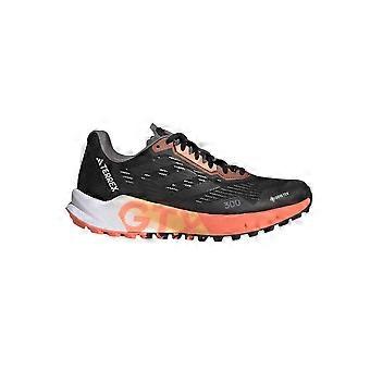 Schuhe Adidas Terrex Agravic Flow 2.0 Gtx HR1146