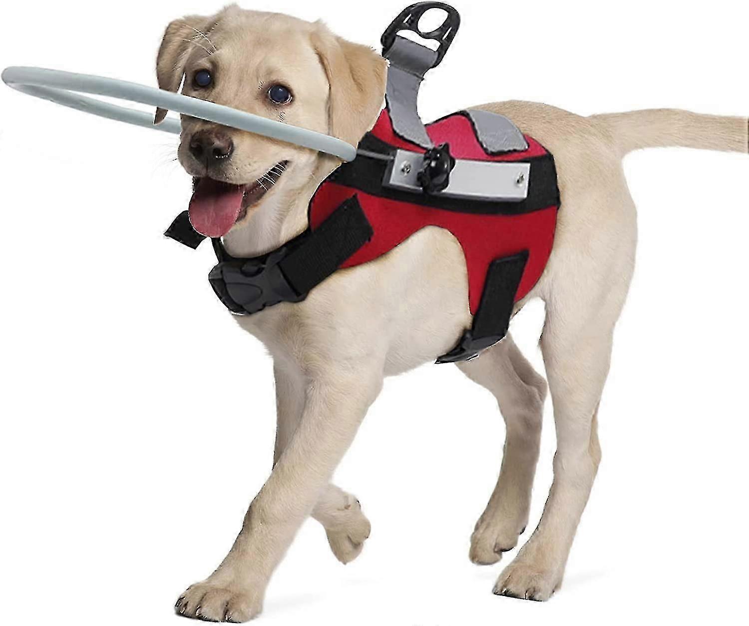 Blind Dog Harness Guiding Device,blind Dog Halo,pet Anti-collision Ring To Protect Cats And Dogs With Blindness, Blurred Vision