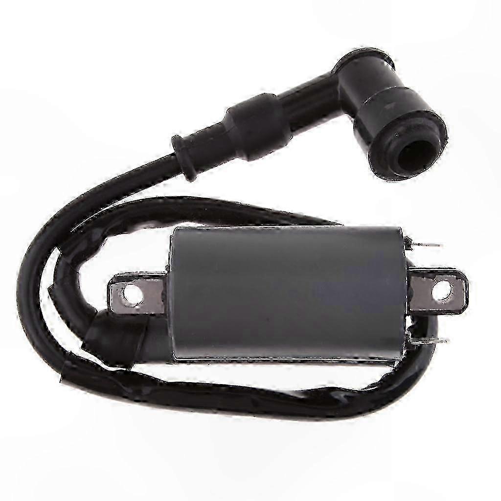 Ignition Coil Module for 300CC ATV Quad Bikes Compatible with D300 G300 H300 Models