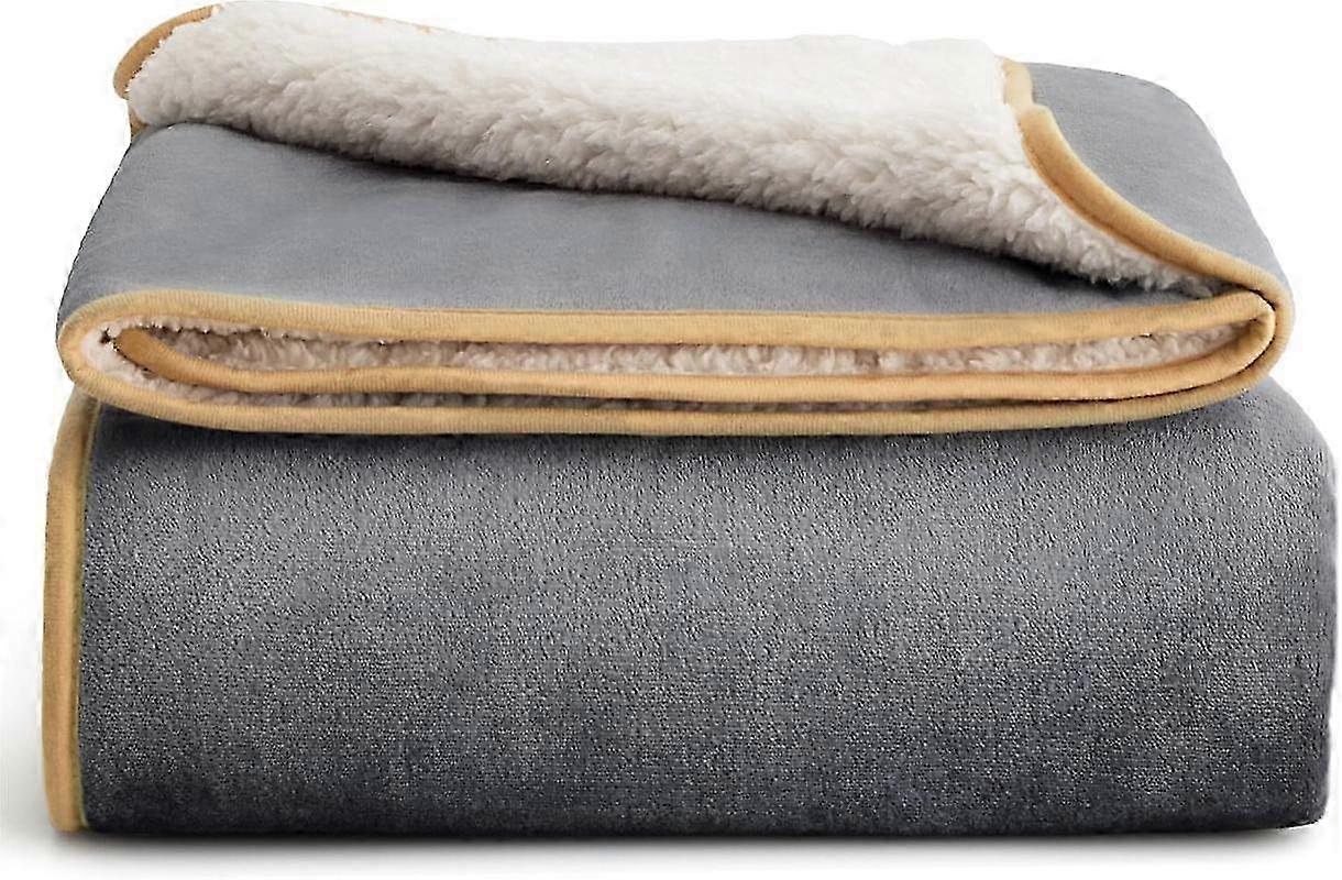 2025 Blanket for Bed for Large Dogs, Soft Plush Reversible Furniture Protector