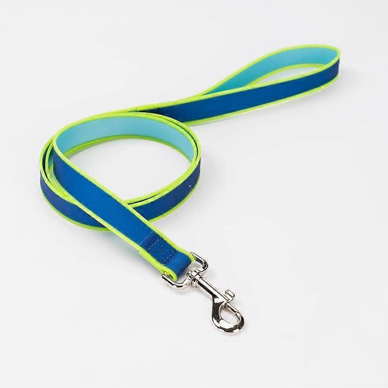 Laisse pour animaux de compagnie Colorblock phosphorescente, corde de promenade de 1,5 m pour chiens et chats, idéale pour le camping et les activités de plein air. Taille universelle.