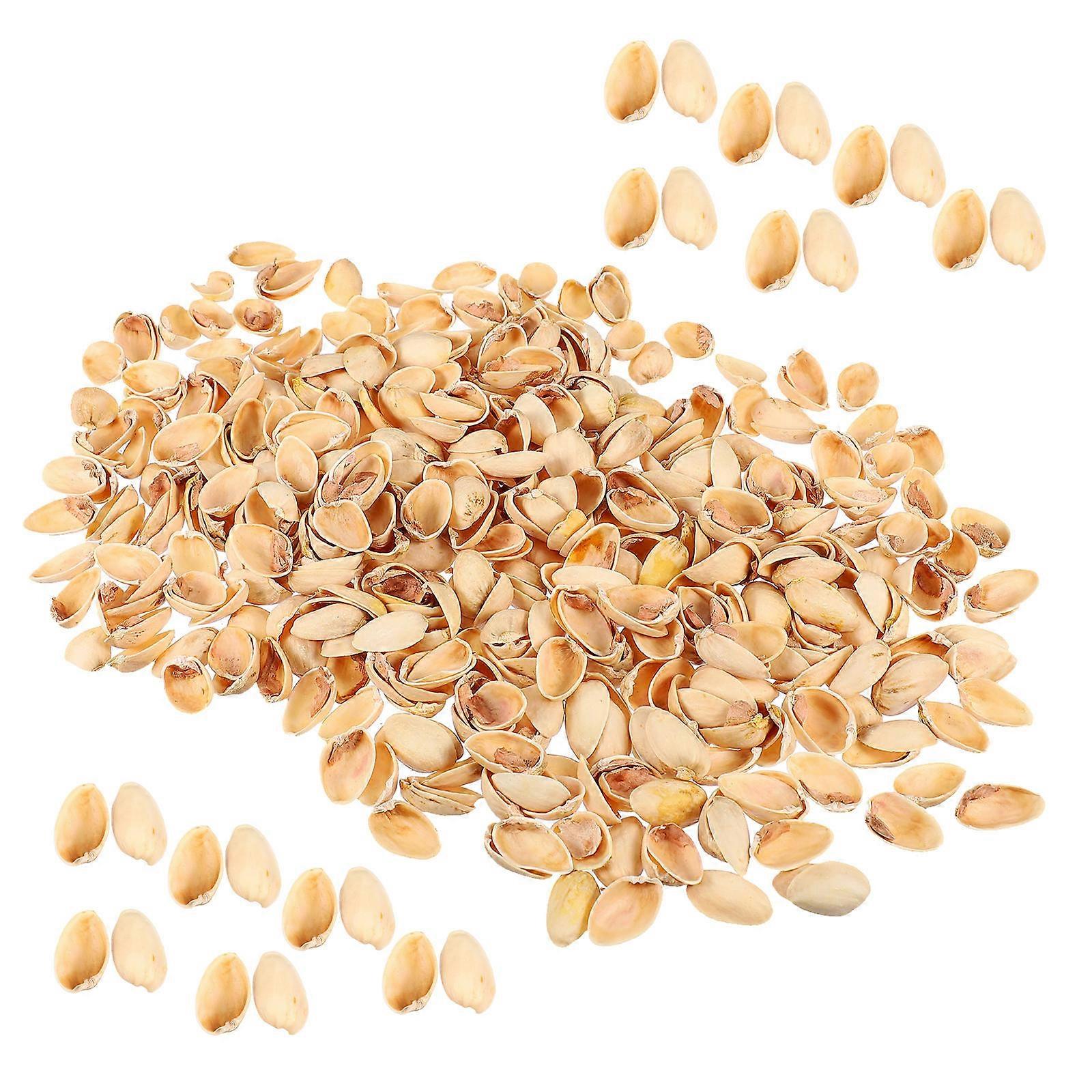 Creative Pistachio Shells Handicraft Material for DIY Craft Accessories 1 Bag