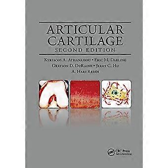 Articular Cartilage