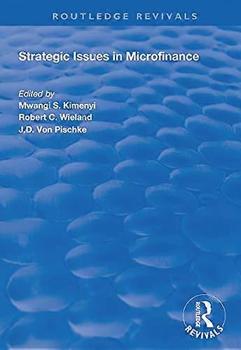 Questioni strategiche nella microfinanza