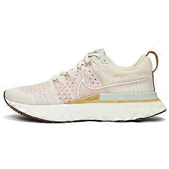 Nike React Infinity Run Flyknit 2 «Cashmere» Damesko DM7193-711