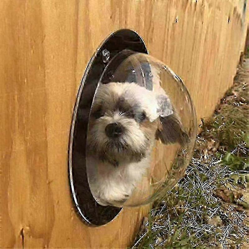 Transparent Acrylic Pet Viewing Dome