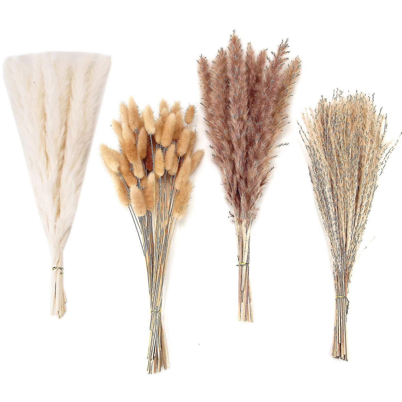 55cm Natural Dried Pampas Grass Bundle