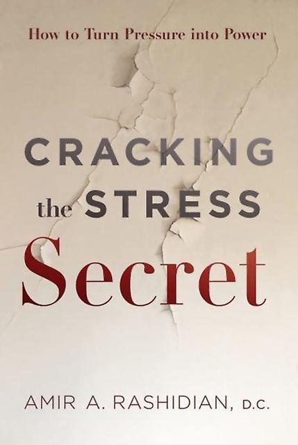 Cracking The Stress Secret by Amir A Rashidian Hardback Book