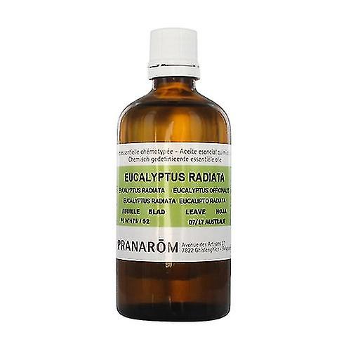 Eucalyptus radiated chemotyped essential oil - leaf 30 ml of essential oil (Eucalyptus)