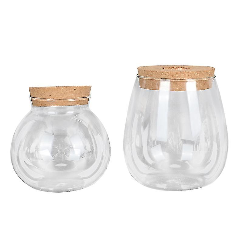 2pcs Glass Flowerpot