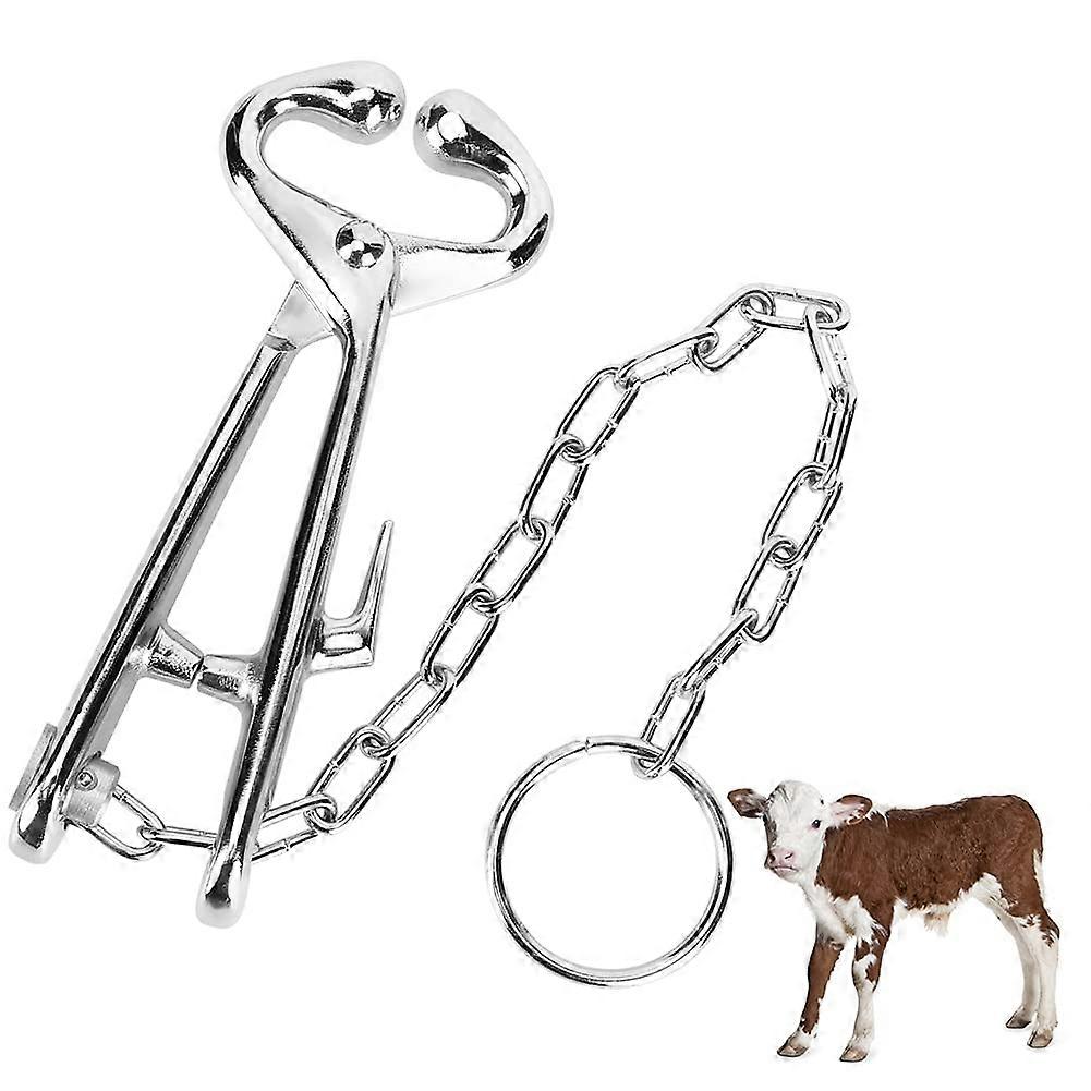 Cow Nose Plier Steel Cattle Bull Ring Lead Clip Pulling Clamp With Chain For Farm Livestock Veterinary Tool Silver