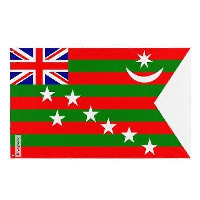 Flag - Home Rule - 1917 - 64 x 96 cm - Polyester - Double-sided print