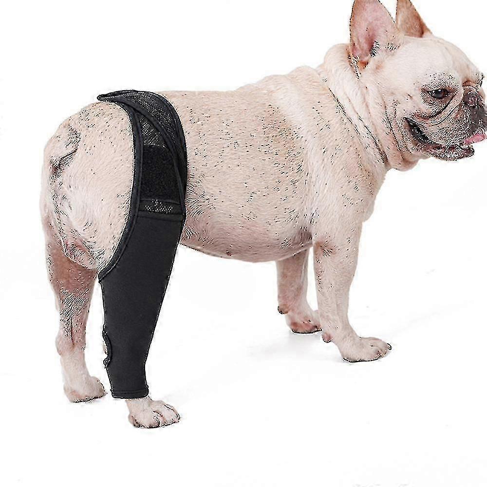 Pet Dog Knee Brace Knee Cap Dislocation Arthritis Keeps The Joint Warm Extra Support
