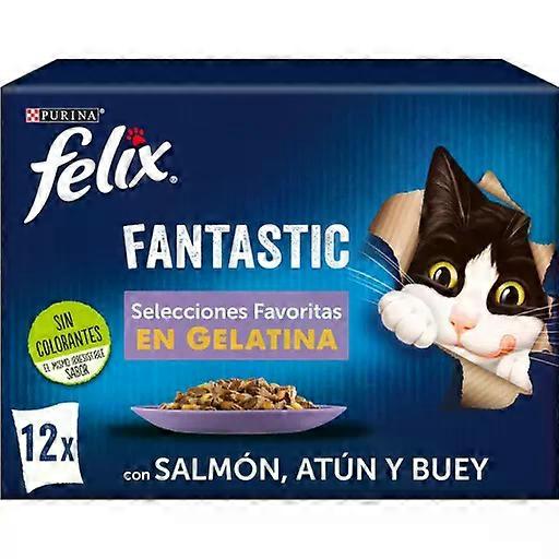 Purina Felix Multipack  Fantastic Selection Favourites in Gelatine
