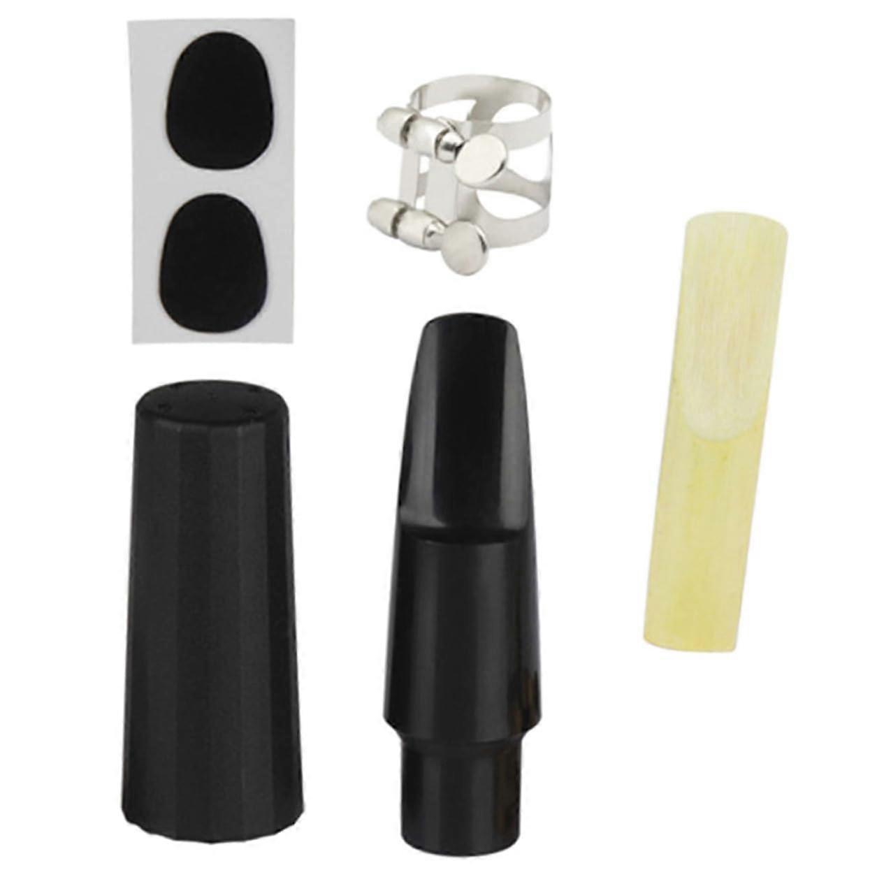 Saxophone Accessories Set, Plastic Neck, Instrument Gift, Reed Replacement